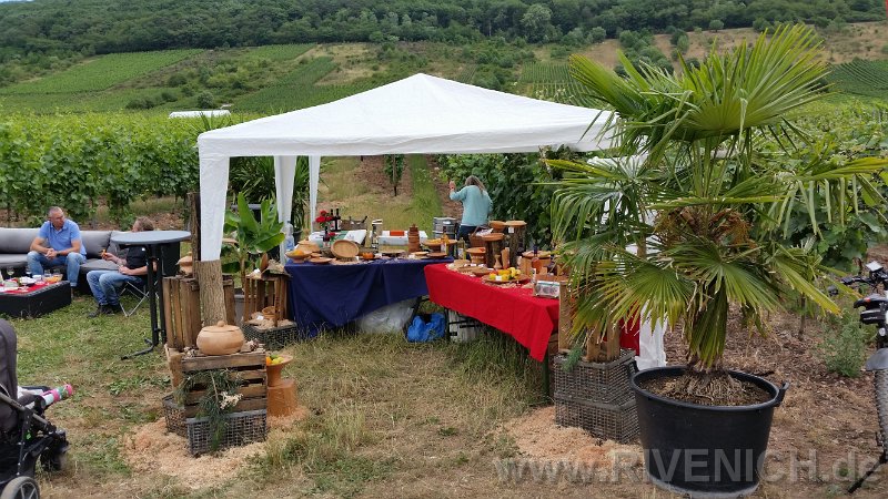 Mittsommerfest 2017 – Bild 30