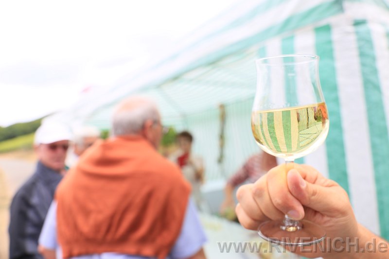Mittsommerfest 2017 – Bild 76