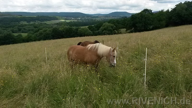 03 Sonntags in den Weinbergen – Bild 31