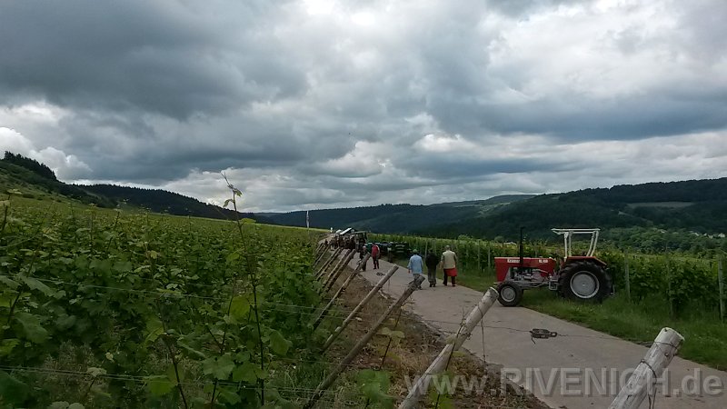 03 Sonntags in den Weinbergen – Bild 32