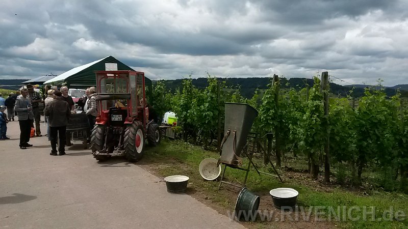 03 Sonntags in den Weinbergen – Bild 33