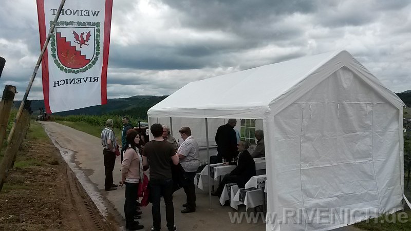 03 Sonntags in den Weinbergen – Bild 37