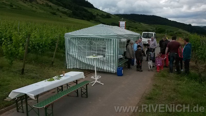 03 Sonntags in den Weinbergen – Bild 38