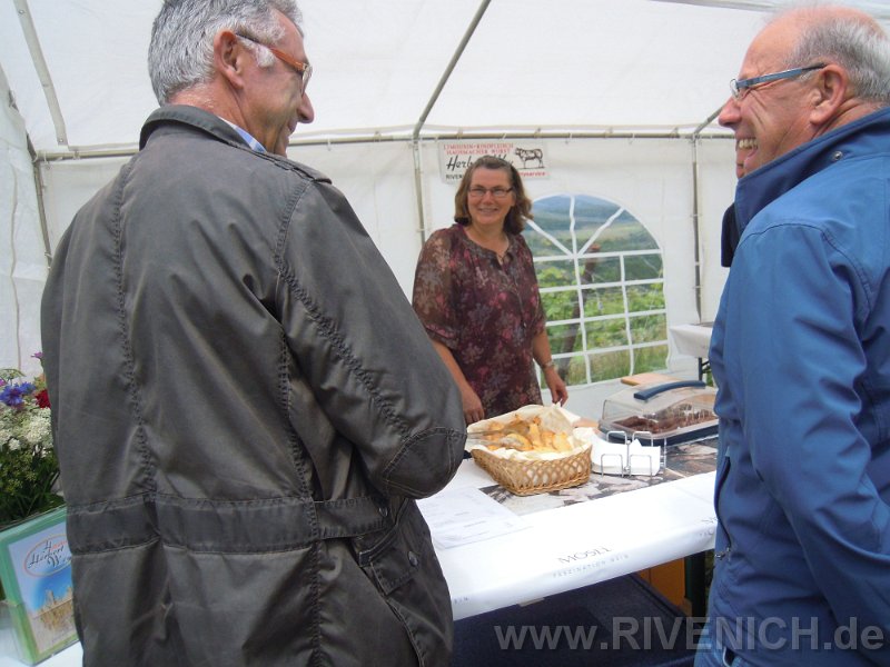 03 Sonntags in den Weinbergen – Bild 14