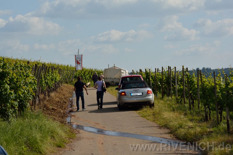 03 Sonntags in den Weinbergen – Bild 27