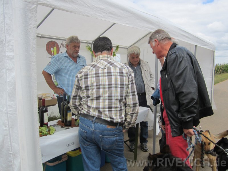 03 Sonntags in den Weinbergen – Bild 2