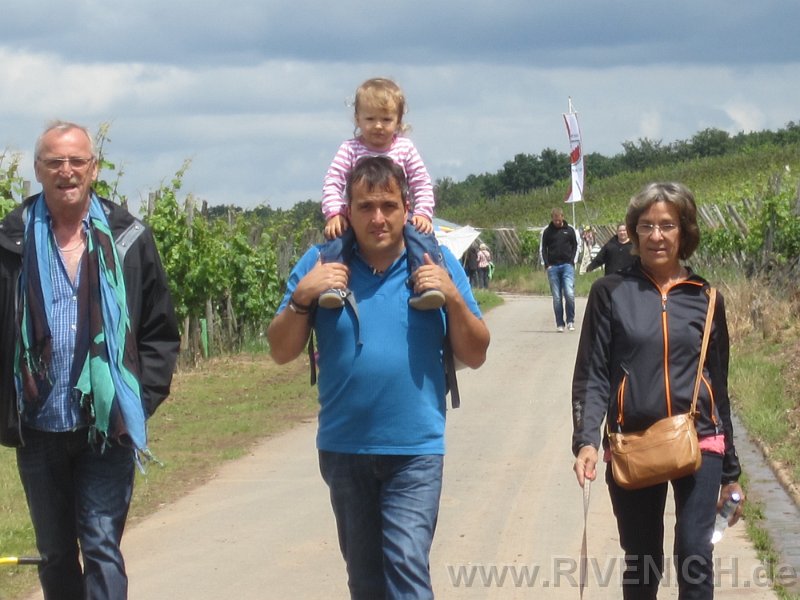 03 Sonntags in den Weinbergen – Bild 3