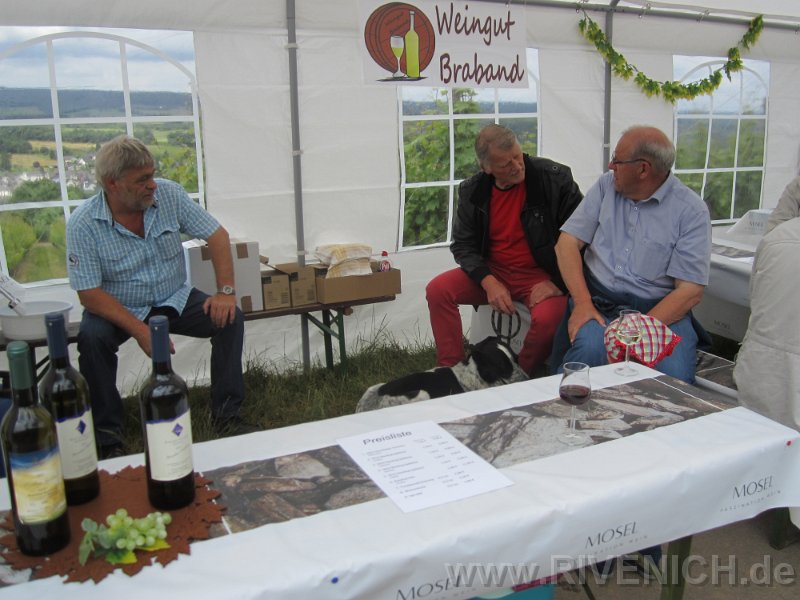 03 Sonntags in den Weinbergen – Bild 5