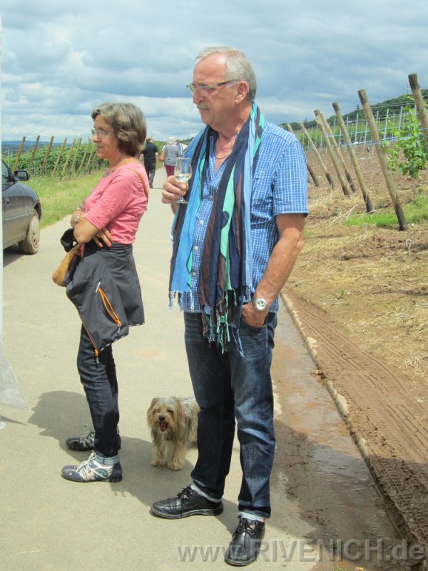 03 Sonntags in den Weinbergen – Bild 24
