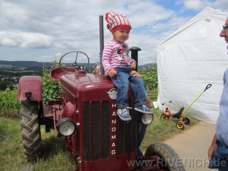 03 Sonntags in den Weinbergen – Bild 6